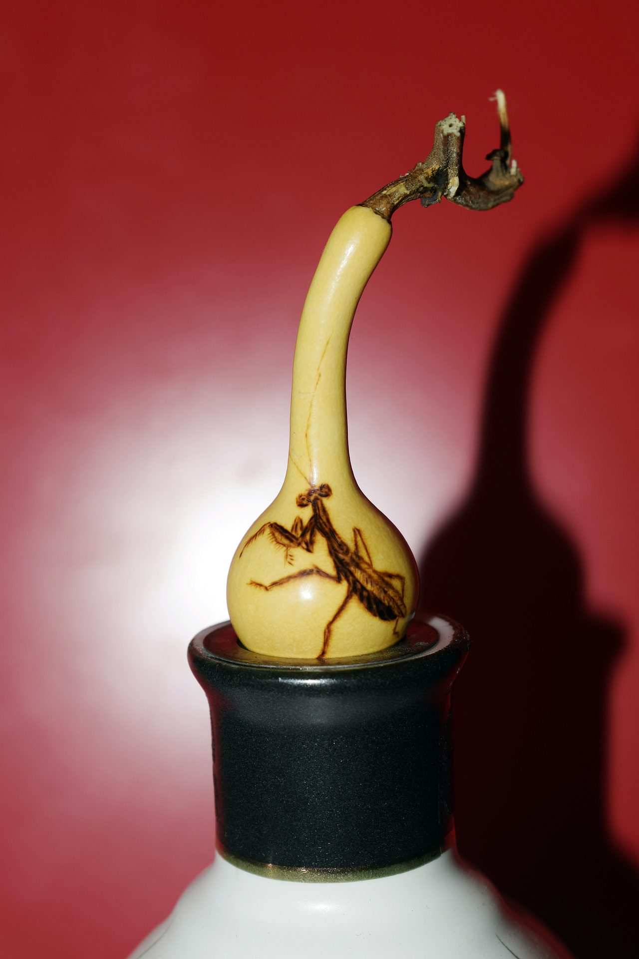 螳螂捕蝉，麻雀在后（图ZMjc3NDU3ODI4） - 其他手工艺 - 站酷设计师langmandahai原创素材 - 站酷ZCOOL