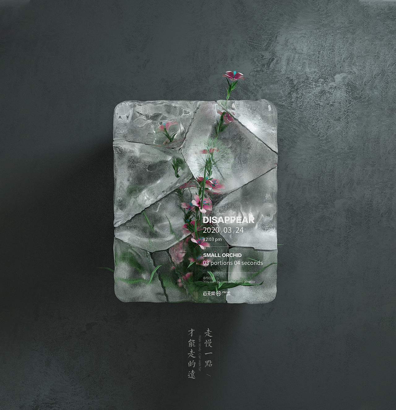 遇见美好【C4D冻结的花草】（图ZMjAxOTUzMzY4） - 其他三维 - 站酷设计师白无常C4D原创素材 - 站酷ZCOOL