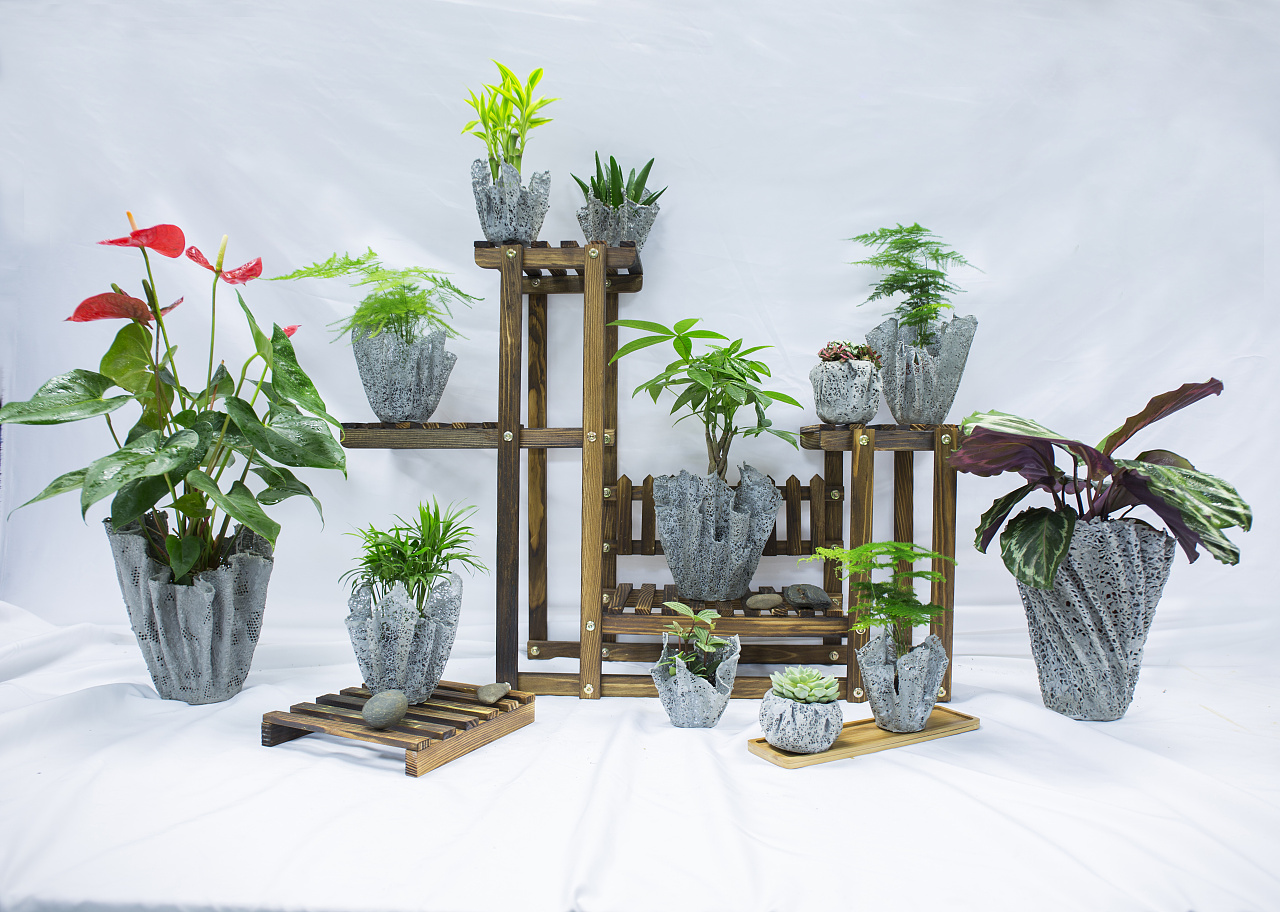 黑色陶瓷花盆盆栽植物3d模型下载_模型ID:51952-让提网