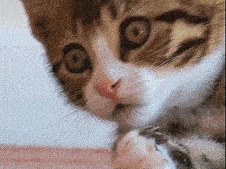 音頻動畫（個人主頁-ZMjk4MTY2NTY=） - 其他 - 站酷設(shè)計師滄海霜河原創(chuàng)素材 - 站酷ZCOOL