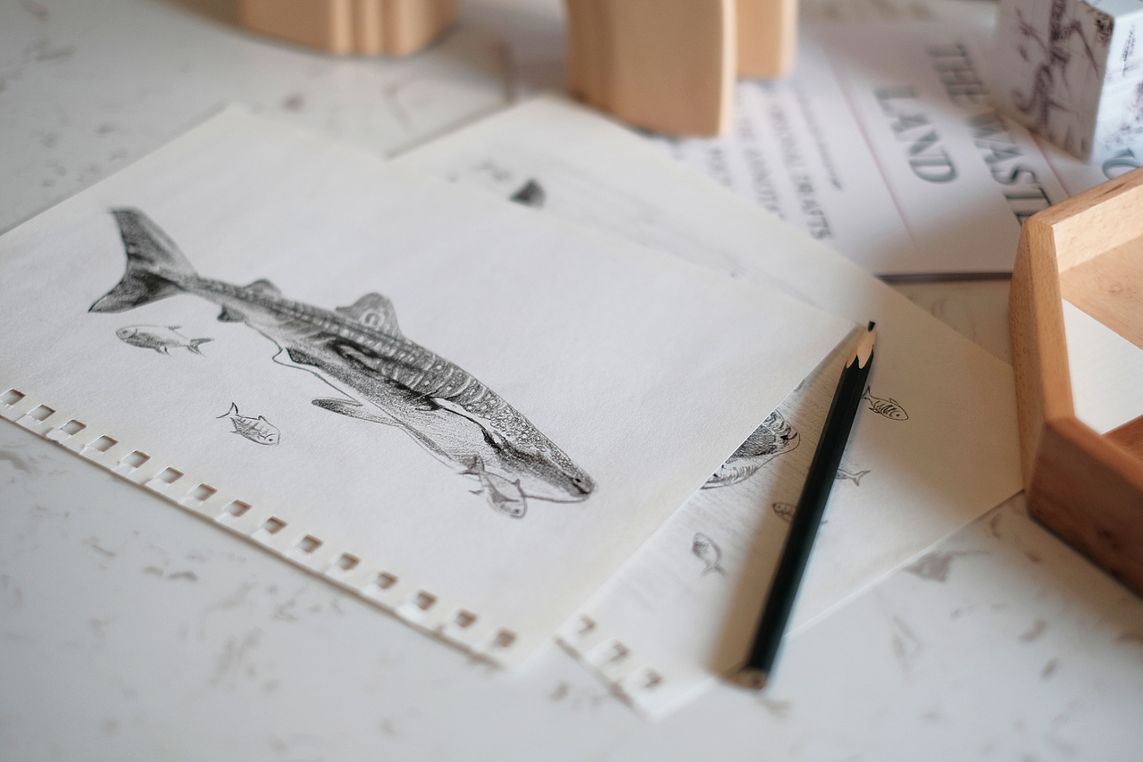 科普插画｜披上动物的外衣 