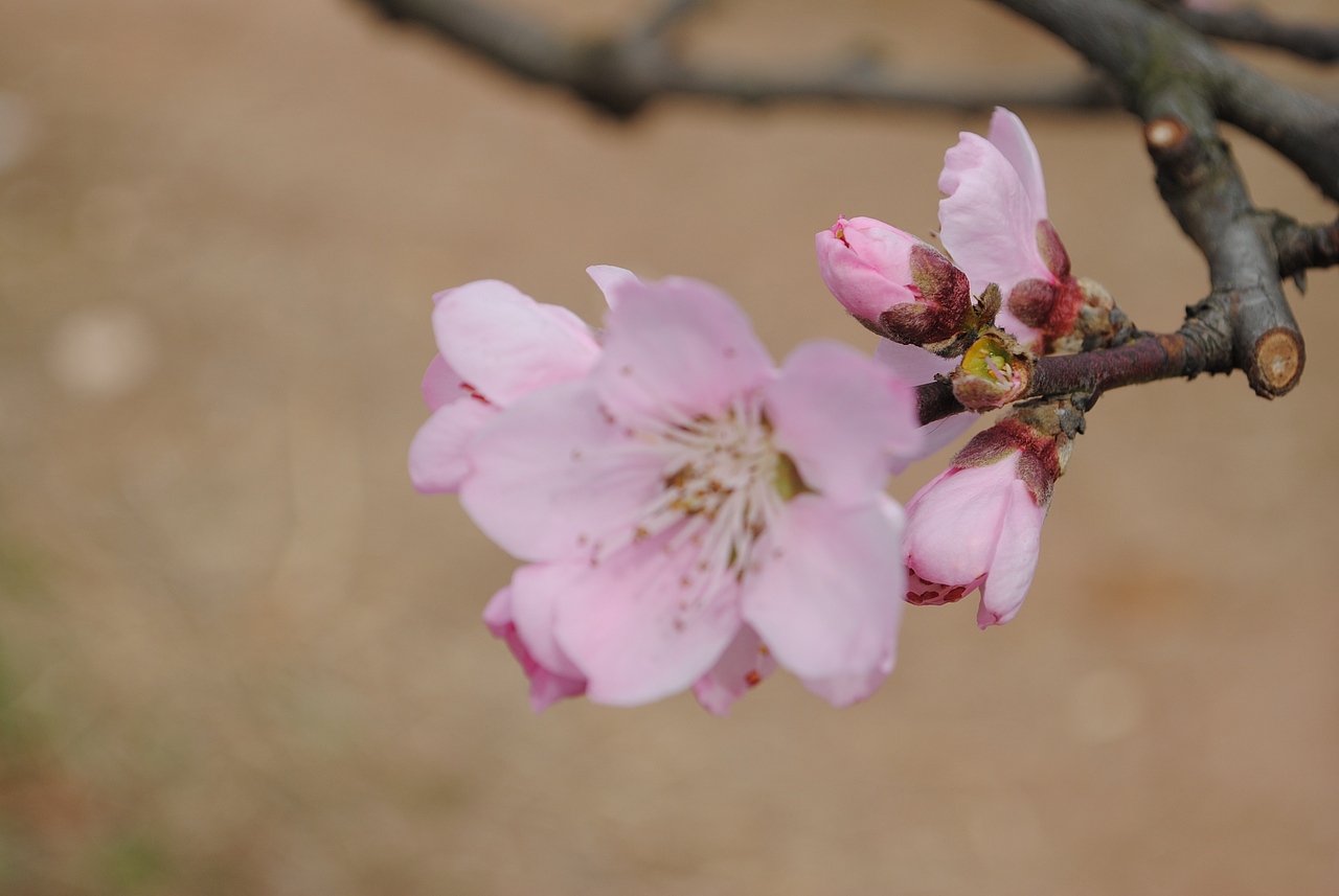 那些很美的地方不属于我（图ZNTMyMDc1Ng==） - 风光摄影 - 站酷设计师欧阳紫嫣原创素材 - 站酷ZCOOL