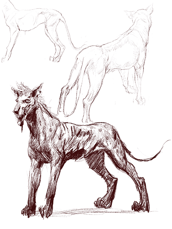 地铁上练习（动物篇）（图ZMTQ4MTk0NjY4） - 创作习作 - 站酷设计师S肚子爱画画D原创素材 - 站酷ZCOOL