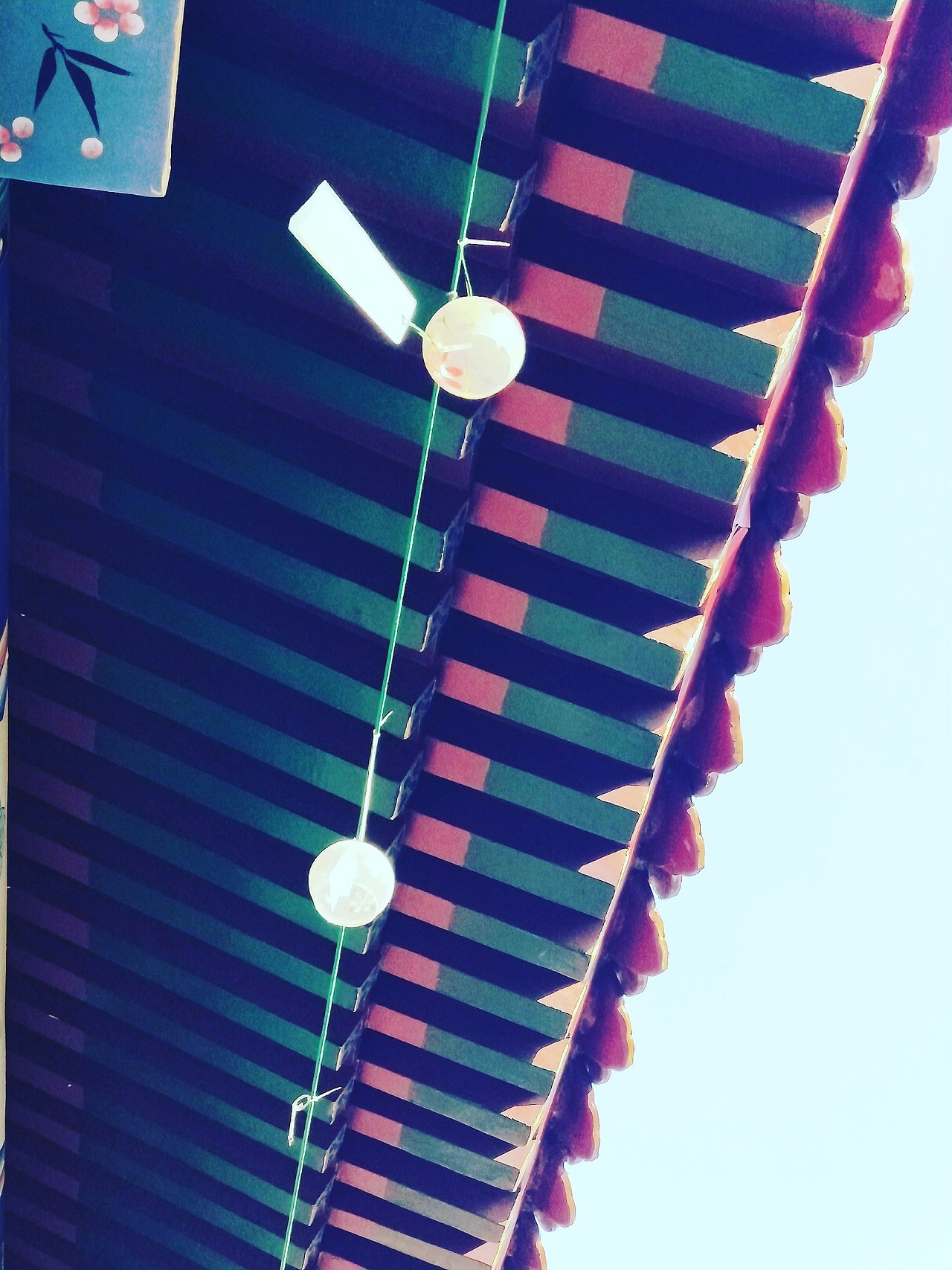 忘记了是什么地方