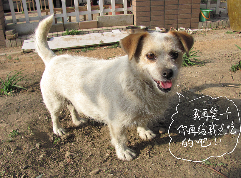 我结交了一群新朋友（图ZMjc2MjE0NjA=） - 文案/策划 - 站酷设计师画师x如也原创素材 - 站酷ZCOOL