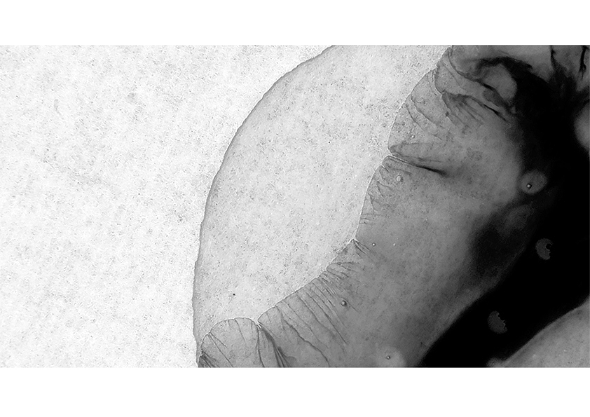 “澜本”即以水为本,该服装品牌主要产品是手工丝织品,所以希望我以水为主体展现出产品的柔和之美。