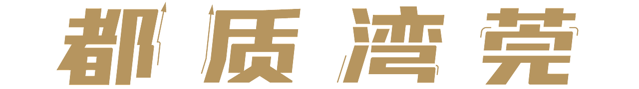 湾区都市 品质东莞