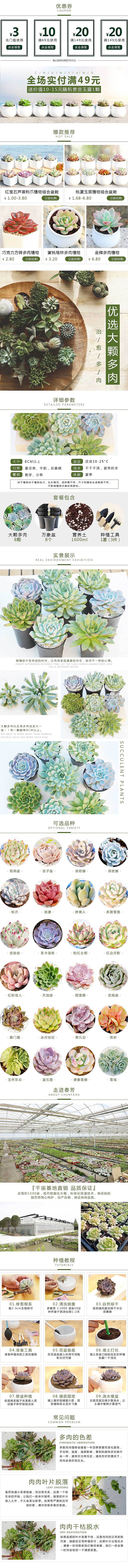 多肉天猫商城（图ZMTIwMzkzNTU2） - 电商 - 站酷设计师CheLeLE原创素材 - 站酷ZCOOL