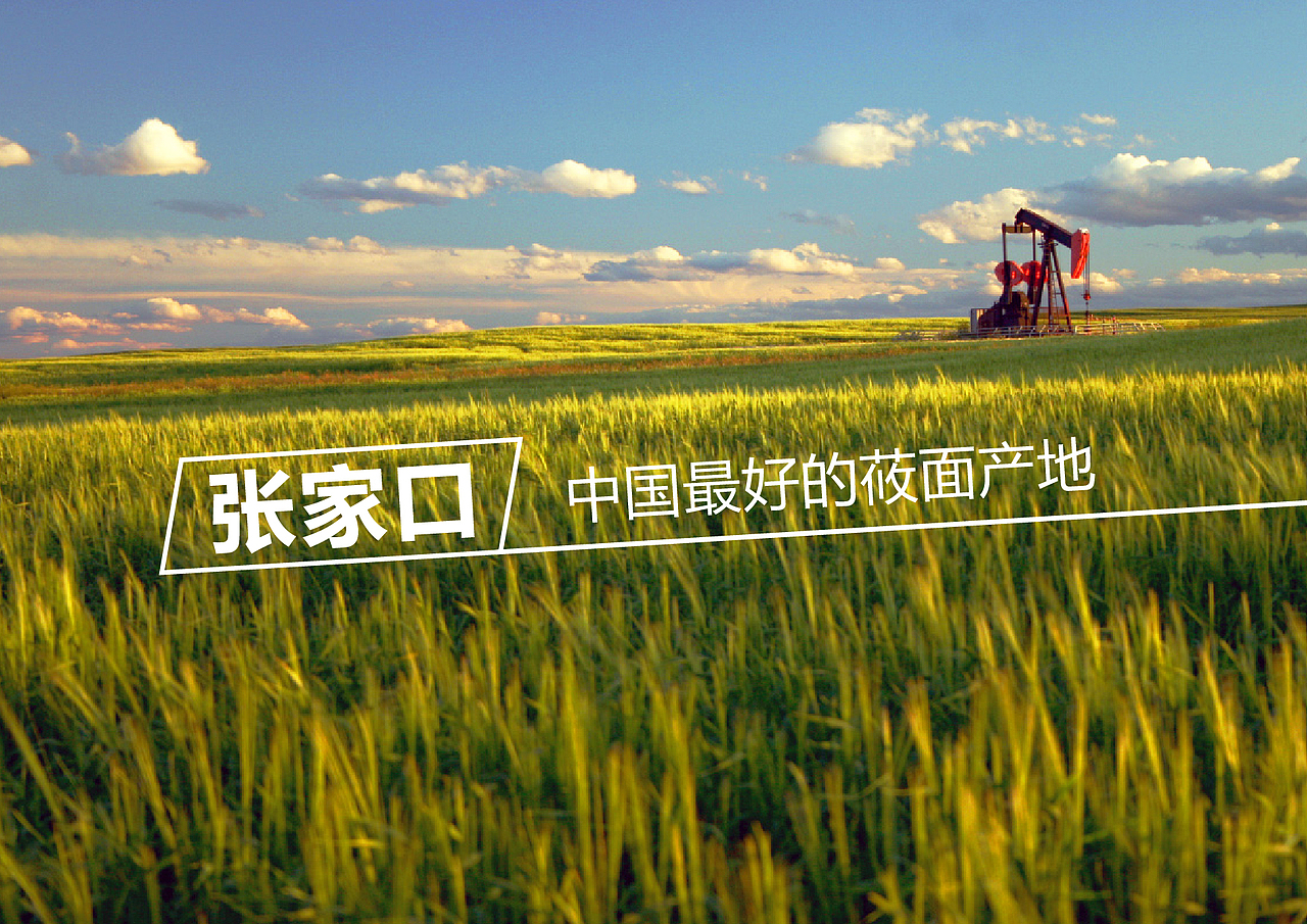 农产品 特产 张家口 标志 字体 设计 平面 标志提案