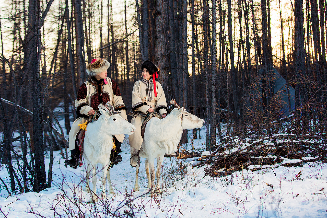 古老传说—雪鹿