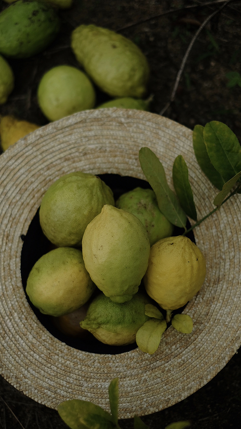 东山岛上一个庐（图ZMjI2MzYzNTcy） - 风光摄影 - 站酷设计师PererZhou原创素材 - 站酷ZCOOL