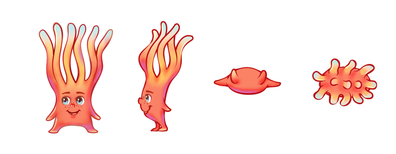 小海葵人物设定