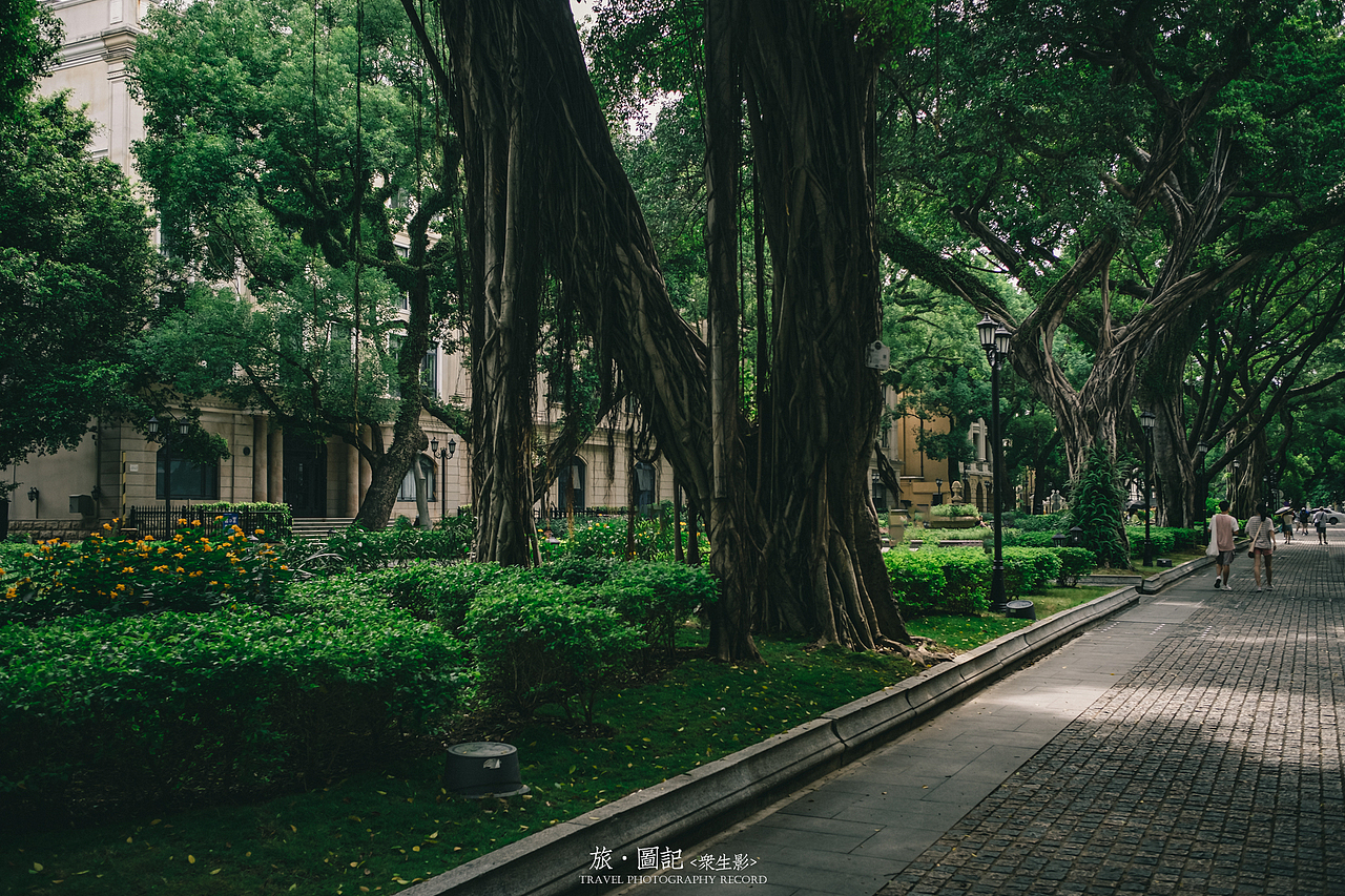 广州特色绿色植被