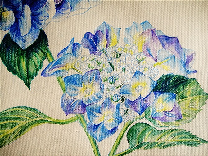 水溶彩铅八仙花