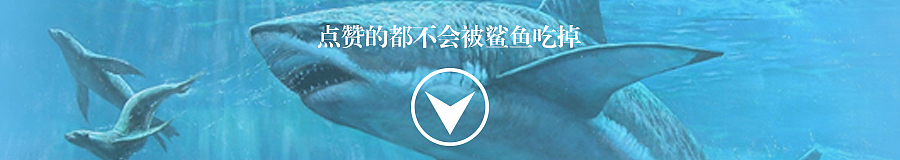 网页设计-海底世界（图ZMjE2NTIwMDA=） - 企业官网 - 站酷设计师是木易杨啊原创素材 - 站酷ZCOOL