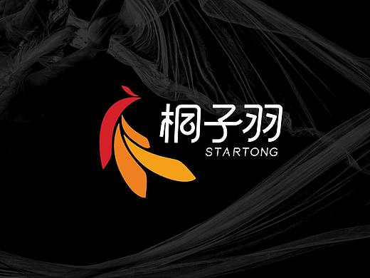 桐子羽舞蹈学校品牌形象设计方案