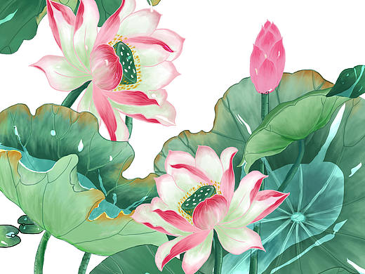古风《荷花》