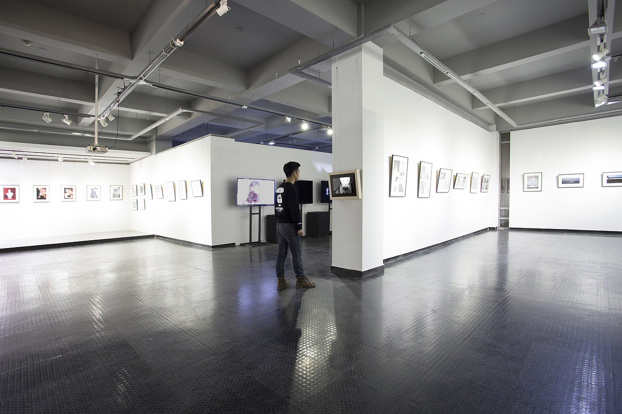 互动装置作品《动物视觉反思》（图ZNjQ4NDg5MDQ=） - 展陈设计 - 站酷设计师Haiyu海魚原创素材 - 站酷ZCOOL