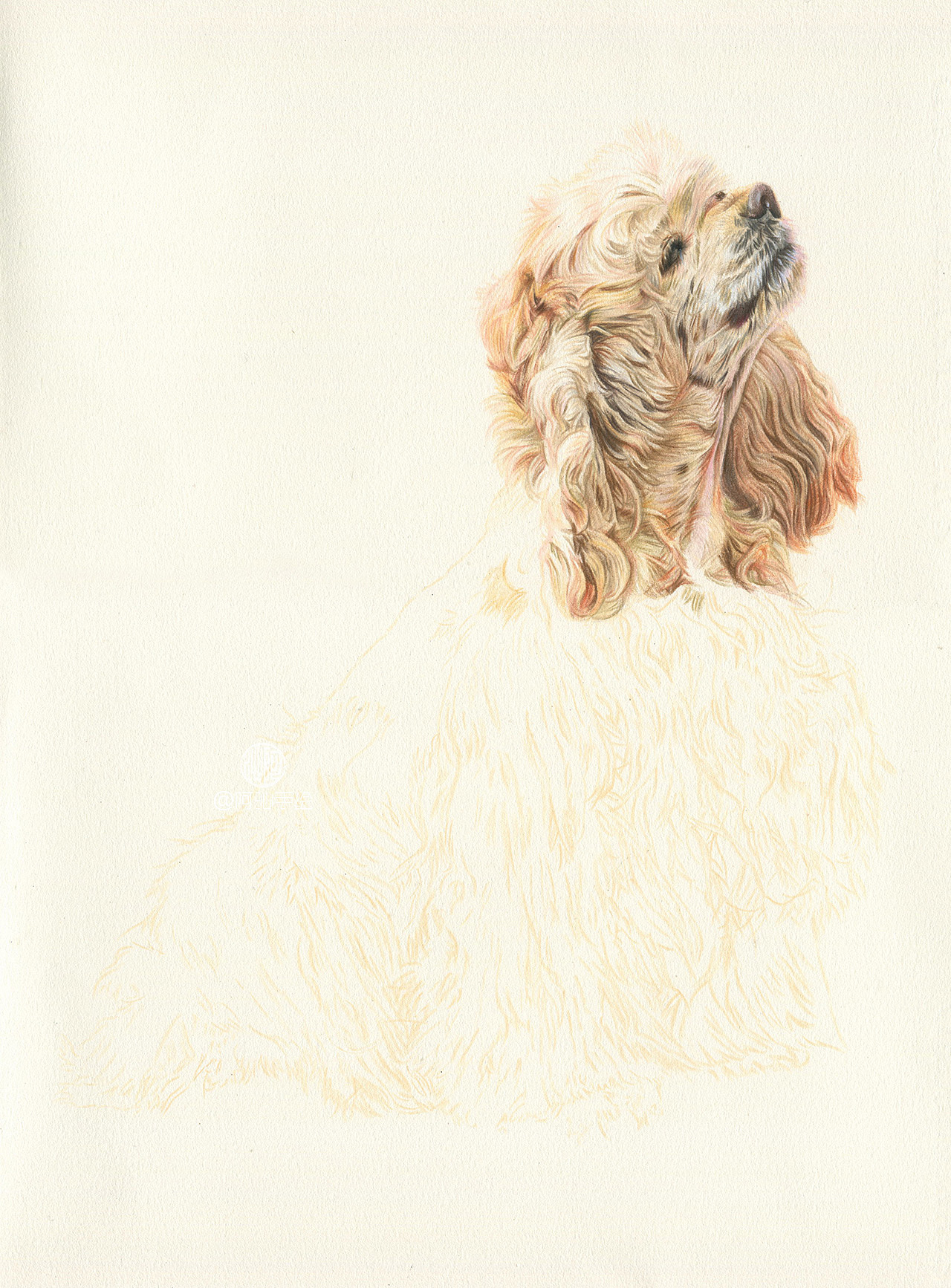 三只小型犬-阿沁作品（图ZMTEwOTYzNzky） - 绘画 - 站酷设计师煜芮原创素材 - 站酷ZCOOL