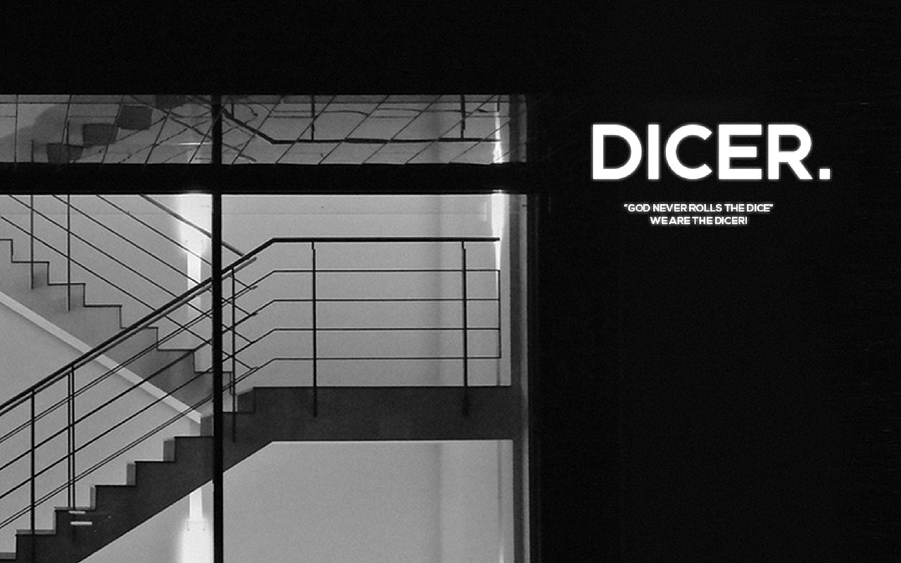 DICER.年轻潮流服饰品牌