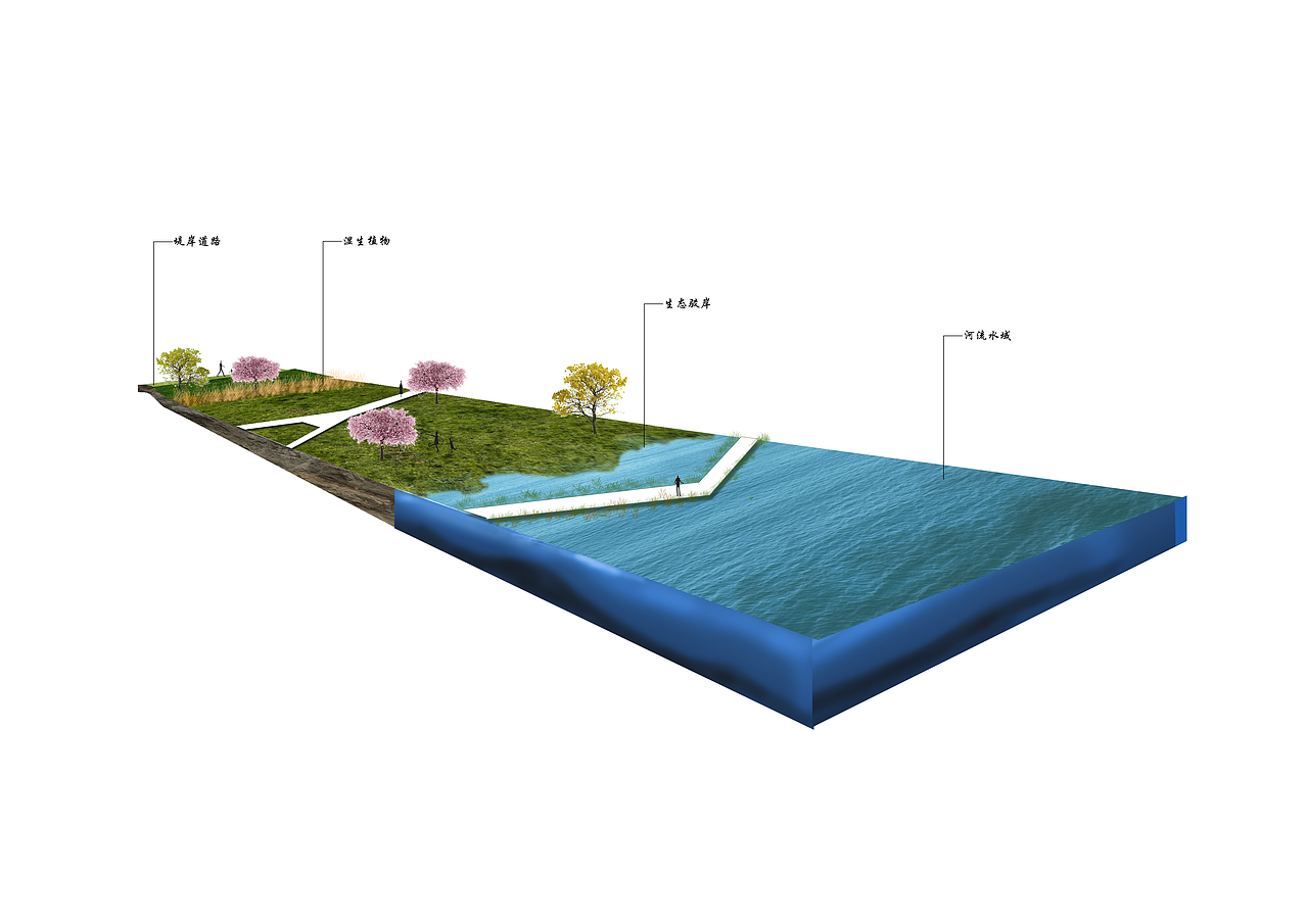 生态驳岸分析图