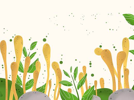 重创华农绿康虫草面包装设计（个人主页-ZMzY5MDg5Njg=） - 包装 - 站酷设计师choine原创素材 - 站酷ZCOOL