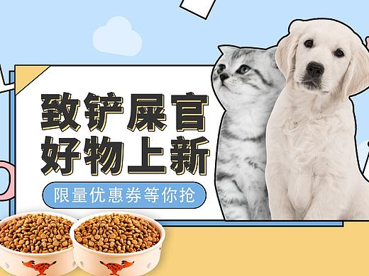 宠物banner