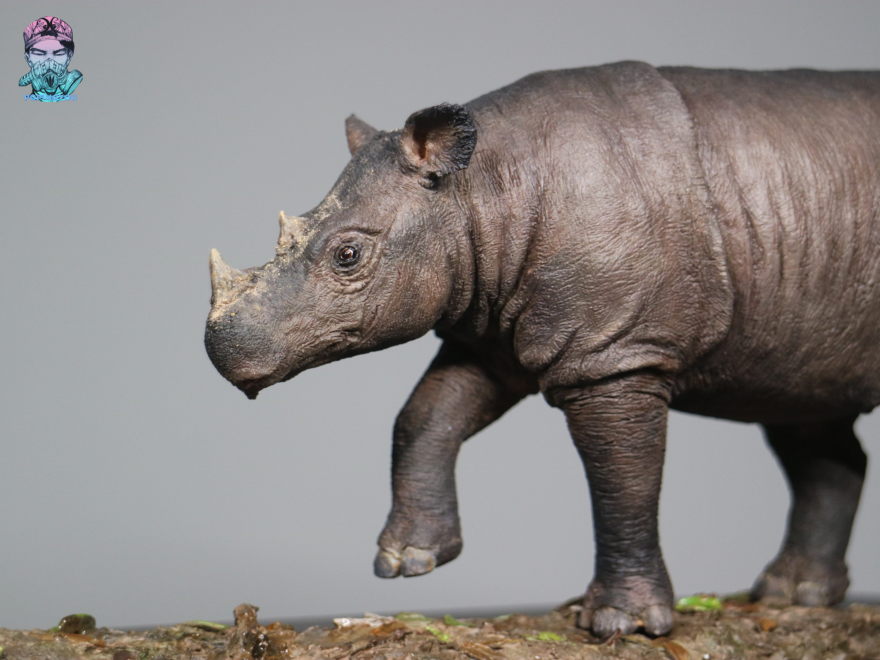 动物gk涂装 苏门答腊犀牛展示