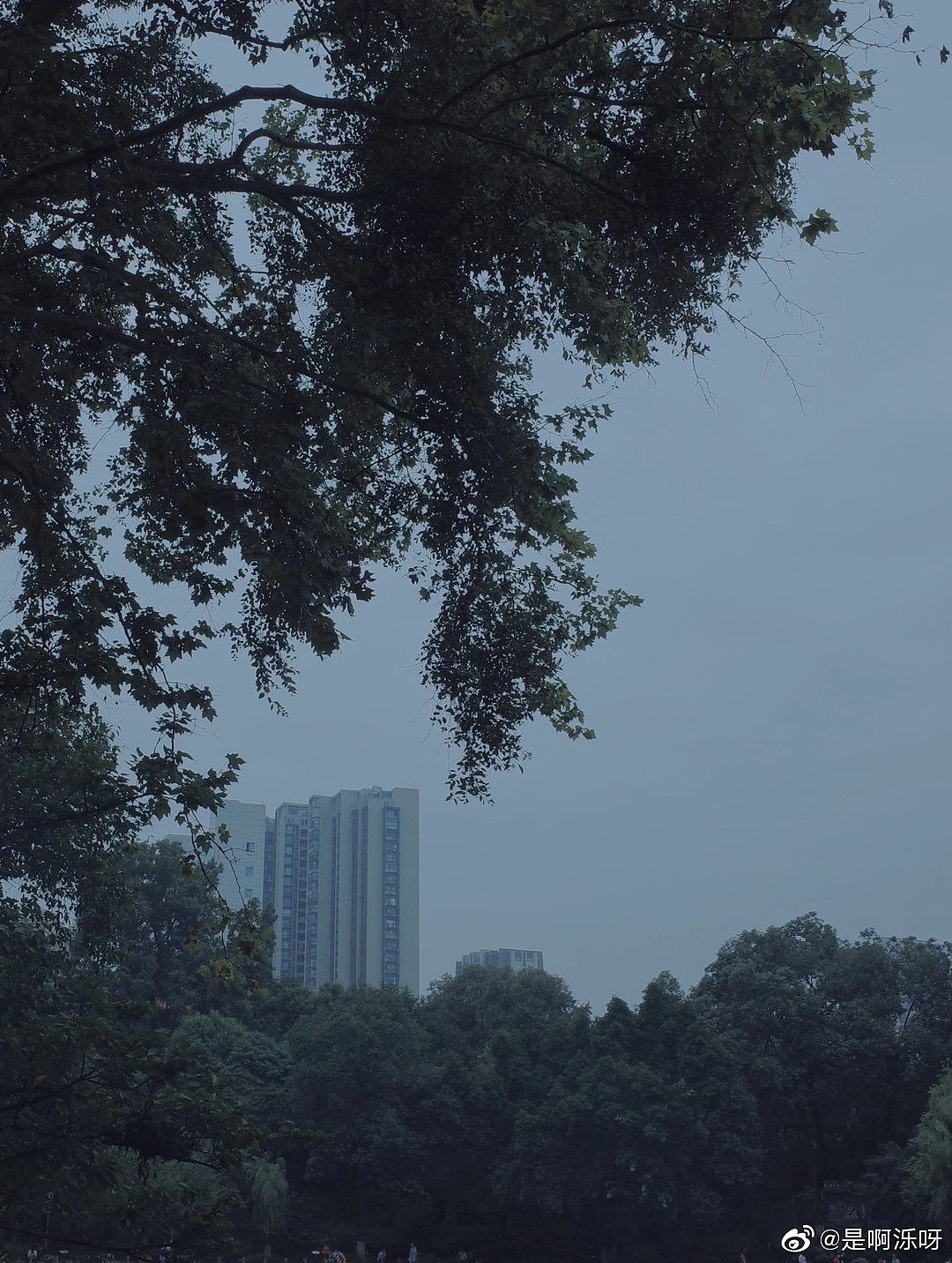 把沉默照得明了（图ZMjIyMTEyNzQ0） - 风光摄影 - 站酷设计师是啊怪吖原创素材 - 站酷ZCOOL