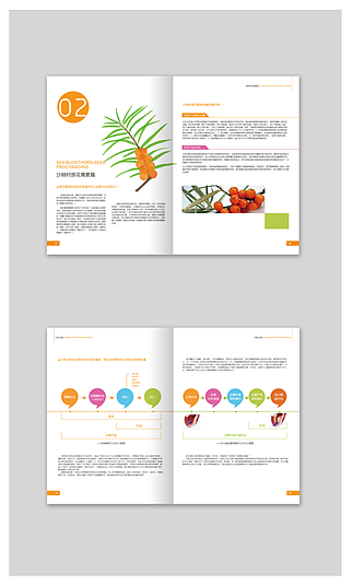 保德瑞沙棘功效手册设计（图ZMTg0NzYyMzI=） - 书籍/画册 - 站酷设计师乌兰塔娜原创素材 - 站酷ZCOOL