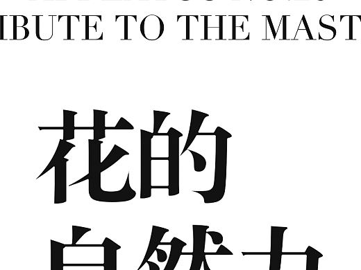 博思迪bosidin✖️ 艺外视觉 - 脱毛仪/产品拍摄