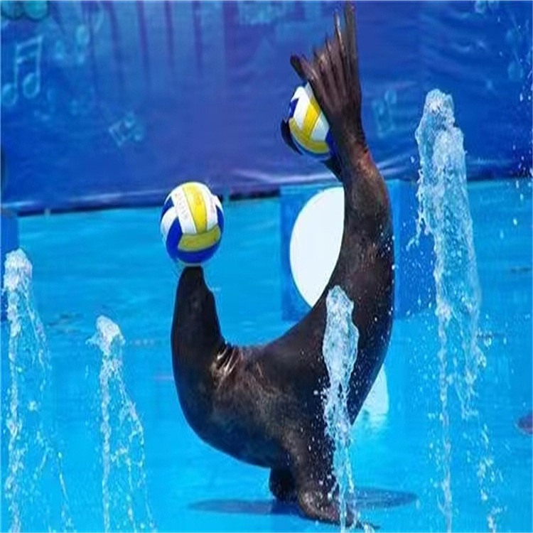 百鸟共舞百鸟展海洋展租赁出售（图ZMjk4OTgwNjE2） - 其他 - 站酷设计师Z029116979原创素材 - 站酷ZCOOL