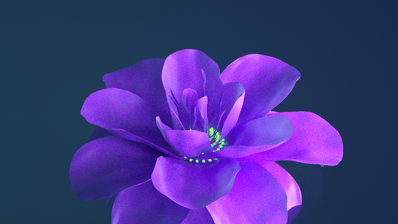 C4D动画练习4——无限开花