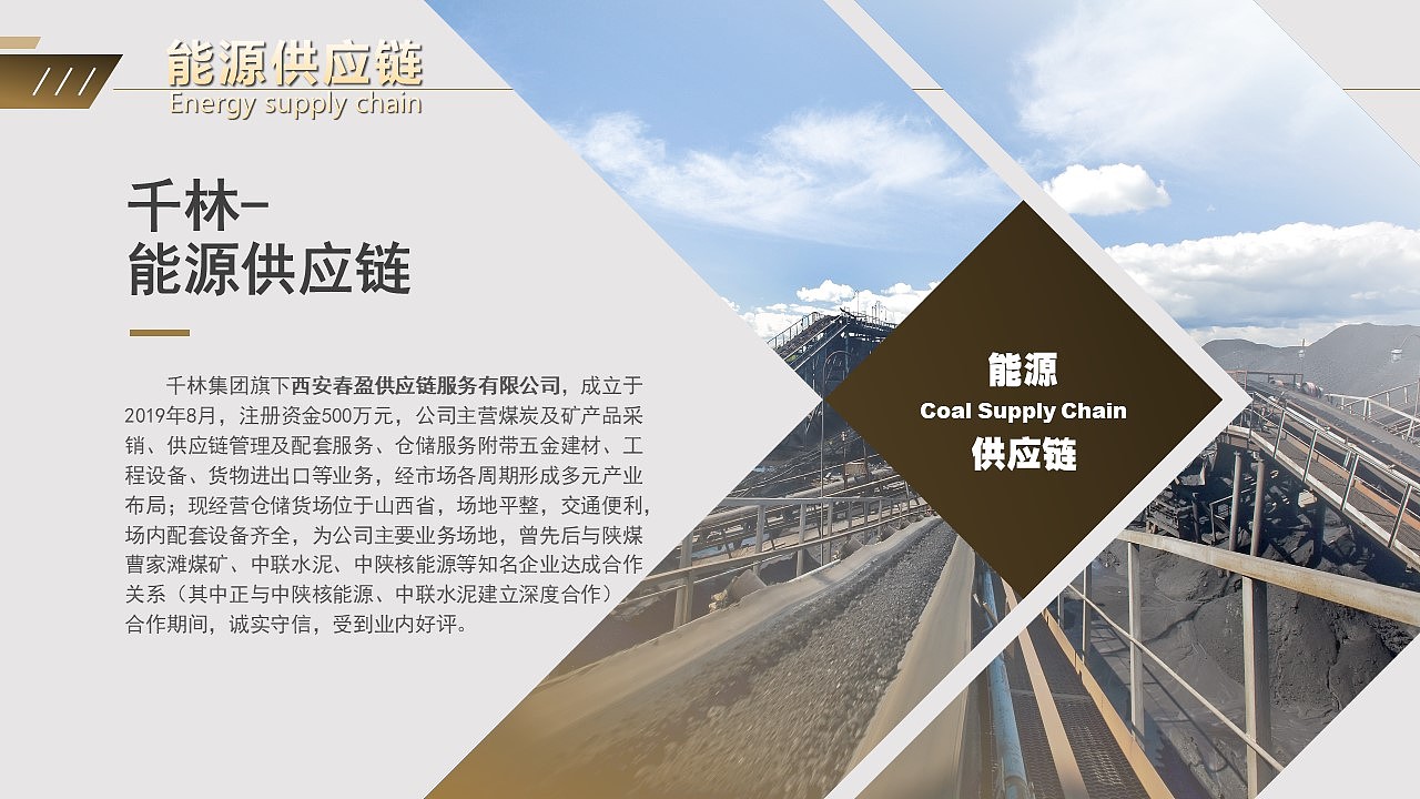 集团简介（图ZMjQ5OTkxMDky） - PPT/Keynote - 站酷设计师葡萄大人物原创素材 - 站酷ZCOOL