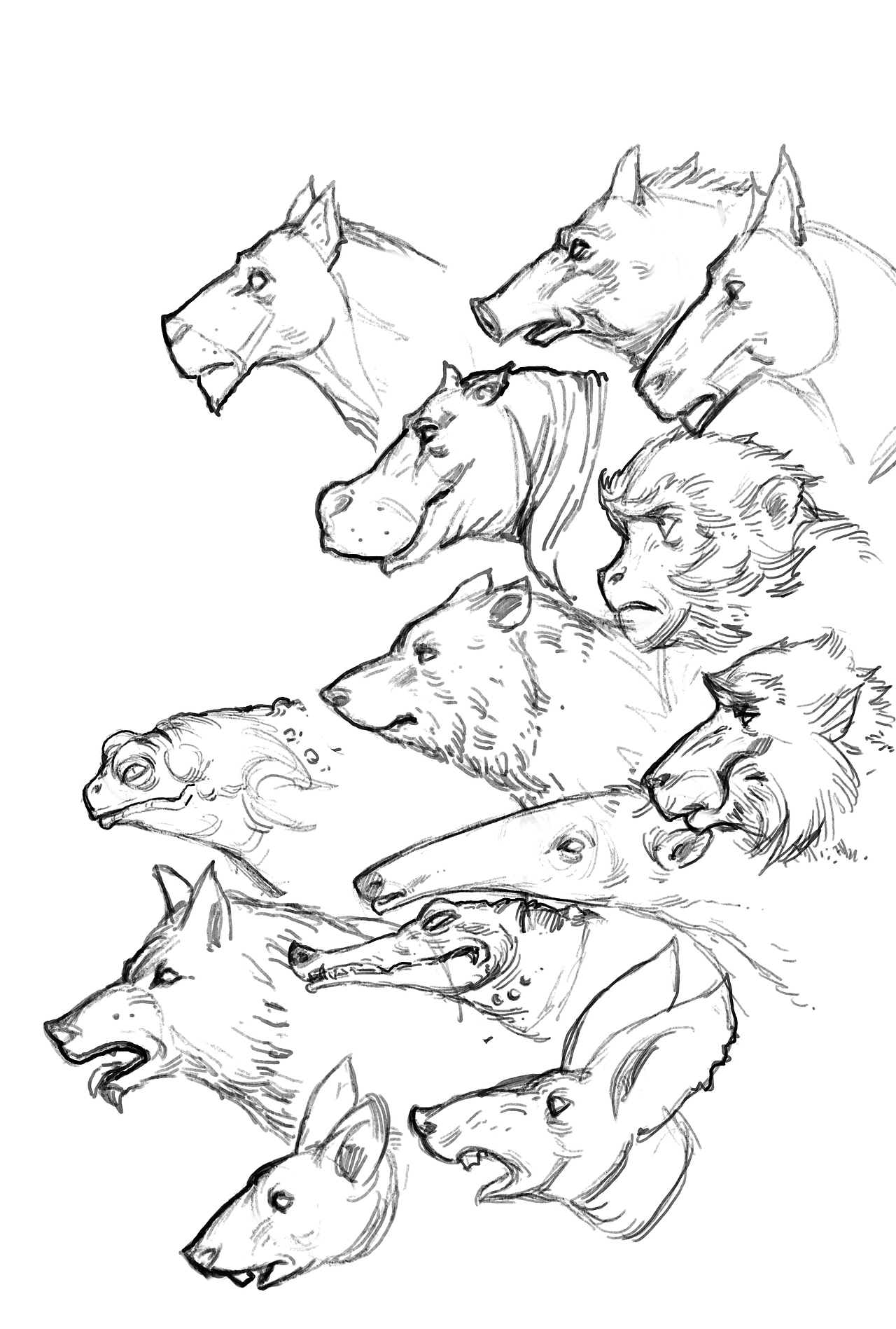 以往速写练习(一)