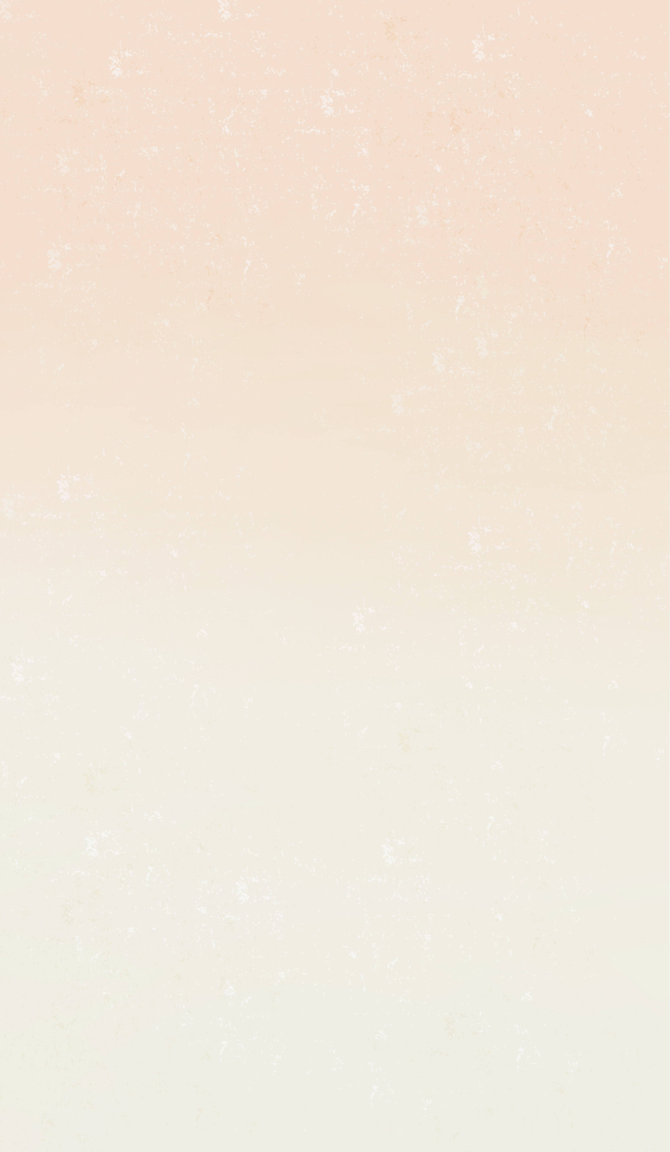 神兽&玺印&节气 l洛阳、杭州国潮城市包装商业插画