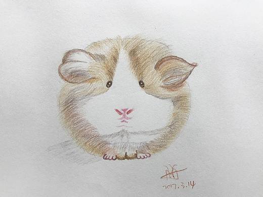 彩绘小仓鼠（个人主页-ZNDY3OTQxODQ=） - 像素画 - 站酷设计师晶莹剔透1原创素材 - 站酷ZCOOL