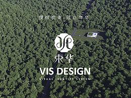 vi