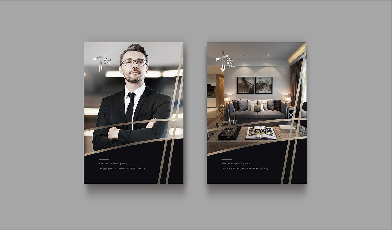 大唐铂金装饰公司形象设计