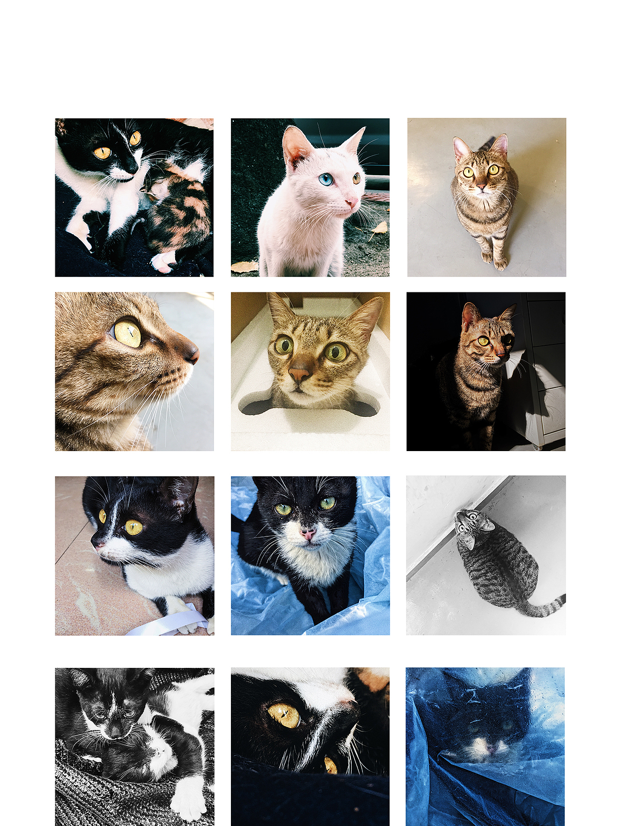 手机摄影 | 日常 VL2（图ZMTQxNjE1Mjc2） - 人文/纪实摄影 - 站酷设计师HIKK原创素材 - 站酷ZCOOL