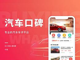 汽车口碑项目