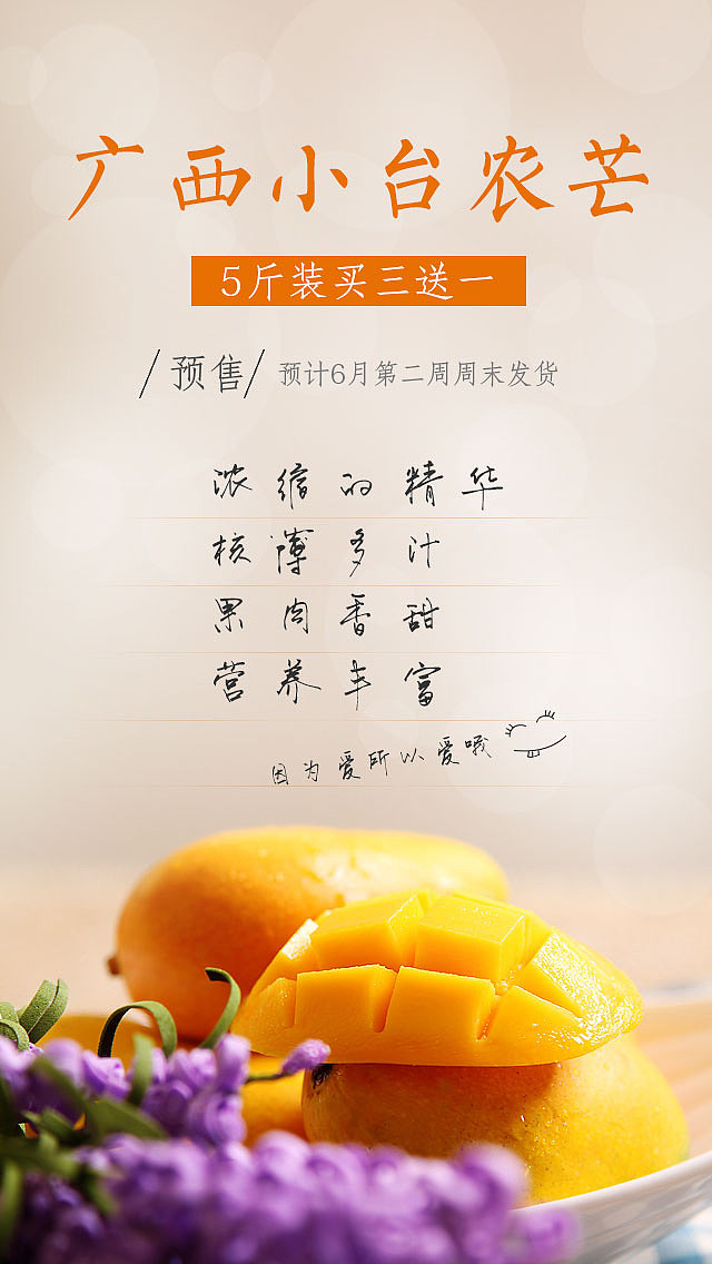 网页与专题作品