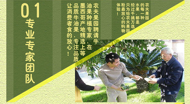 淘宝网店水果的详情页（图ZNTQ5MTYwNTY=） - 运营设计 - 站酷设计师邱公城原创素材 - 站酷ZCOOL