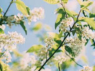 山高水远 我们恬梦教育相见啦