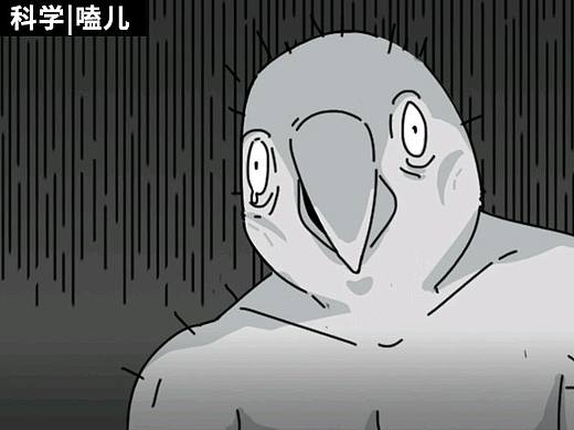 虎鲸变成杀人鲸、海豚自杀...背后的真相鲜血淋漓