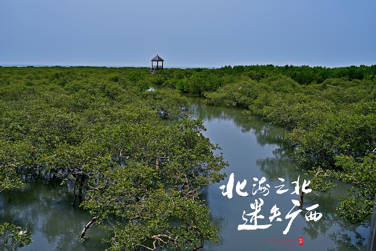 北海之北，迷失广西（图ZMTgxODc4NjY4） - 风光摄影 - 站酷设计师毅休哥原创素材 - 站酷ZCOOL