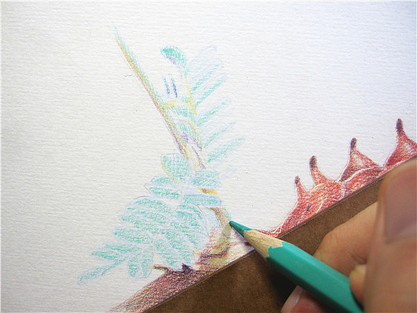 纸上彩铅--《凤蝶幼虫》过程随录（图ZMTM1NTczNDg=） - 绘画 - 站酷设计师超超的青葱原创素材 - 站酷ZCOOL