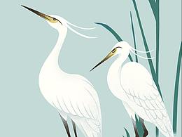 近期幾張procreate插畫(huà)練習(xí)