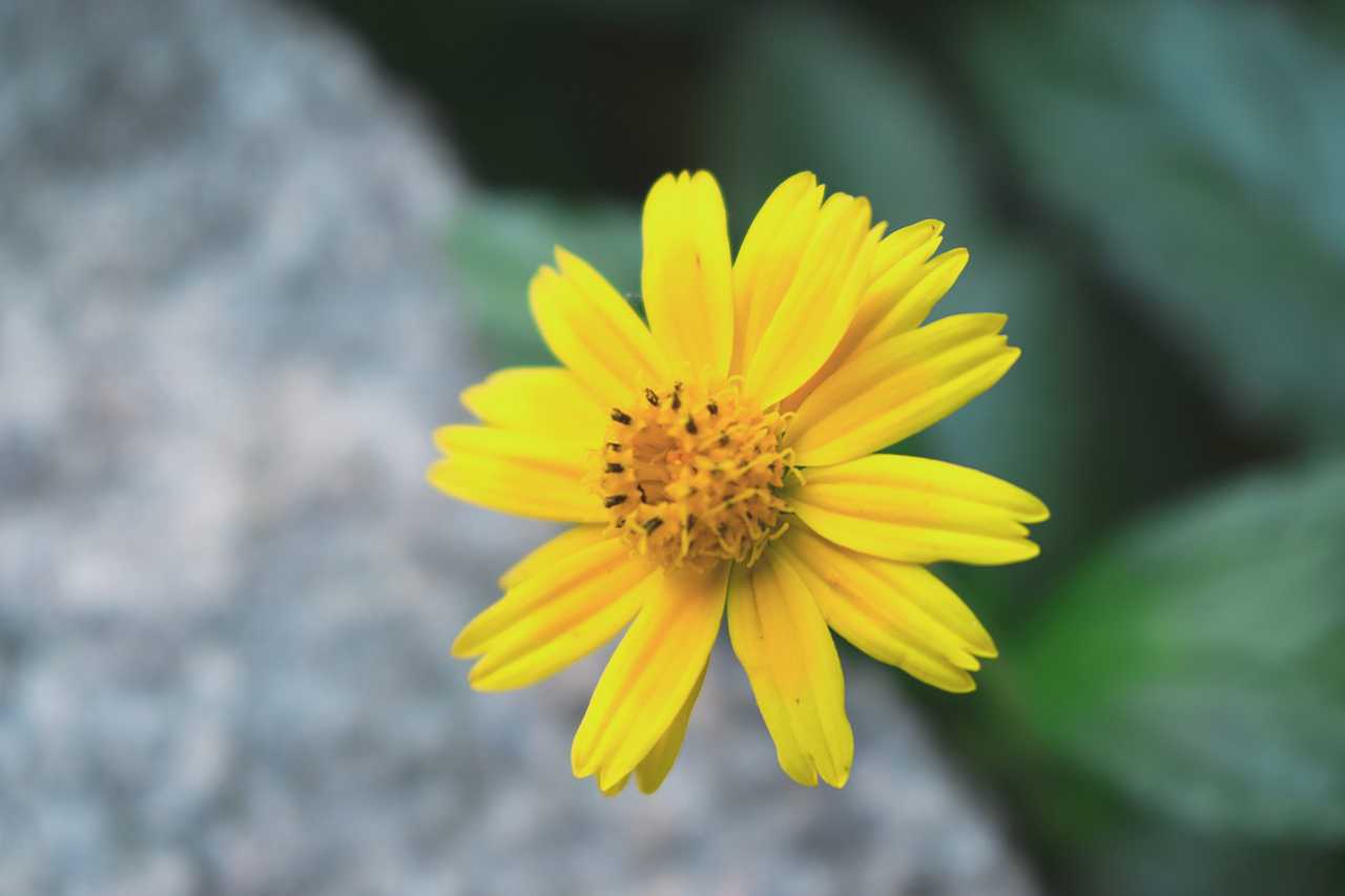 迷失厦门（图ZODkxNzAyNTI=） - 风光摄影 - 站酷设计师WS王小帅原创素材 - 站酷ZCOOL