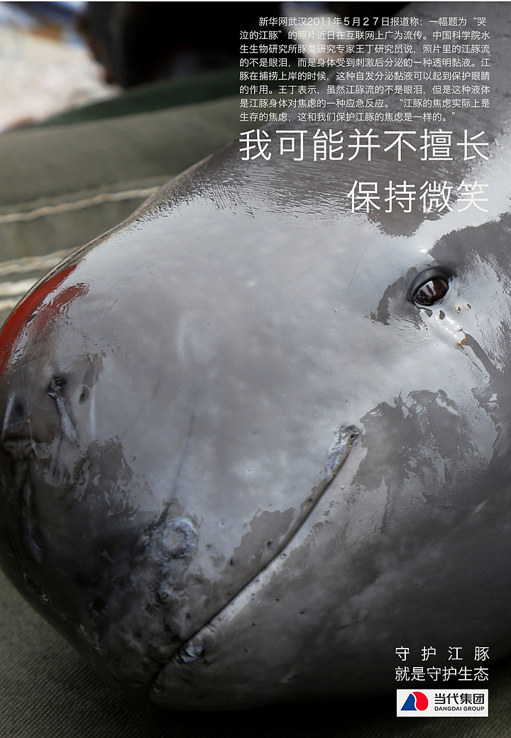 当代集团2018画册&传播图设计招标项目（图ZMTQwMjU5NDA4） - 品牌 - 站酷设计师伯飞原创素材 - 站酷ZCOOL